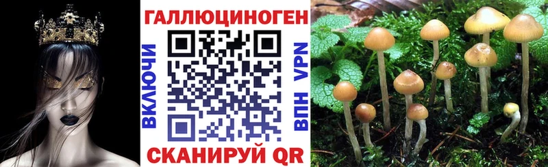 Псилоцибиновые грибы Cubensis  купить   Сосенский 